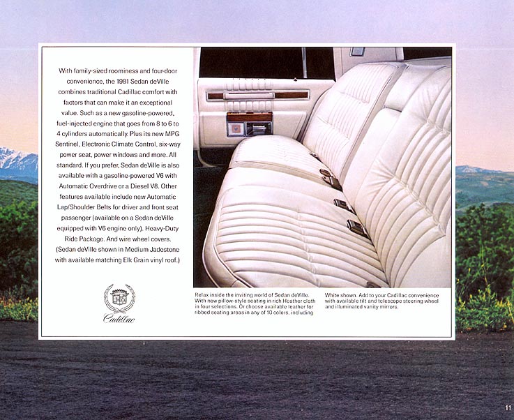 1981 Cadillac Brochure Page 39